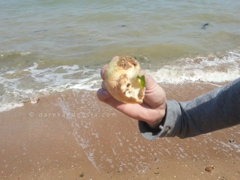 Top beaches near me from London - Greatstone Beach, Kent