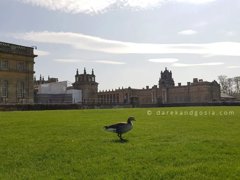 Best things to do in Oxfordshire - Blenheim Palace