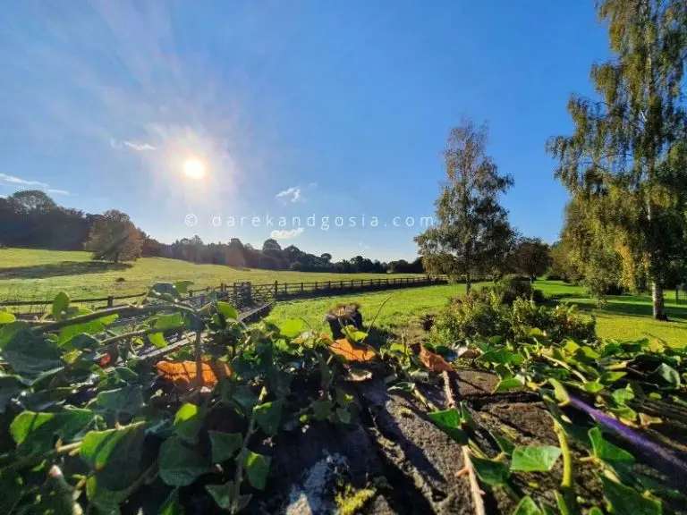 Chalfont St Giles TOP 9 things to do in Chalfont St. Giles!