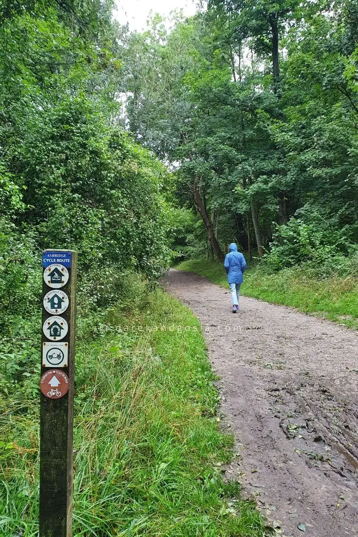 Best forests near London Top 20 woods near me from London!