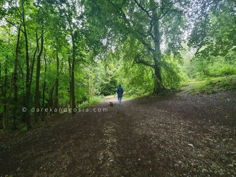 Best walks in the Chiltern Hills - The Ashridge Estate