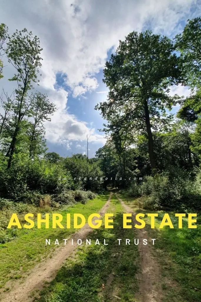 National Trust Ashridge Estate