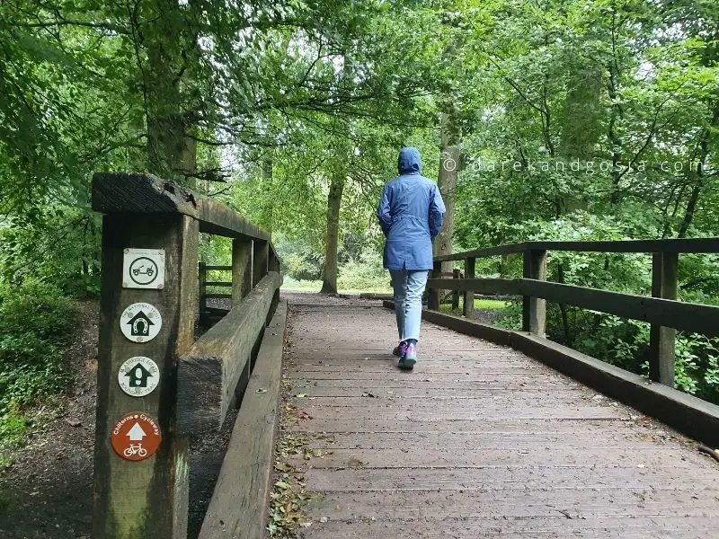 National Trust Ashridge Estate - Ashridge forest