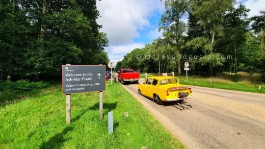 Visit National Trust Ashridge Estate