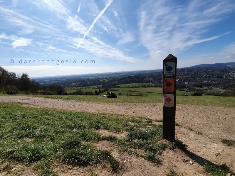 Best walks near London - Box Hill walk