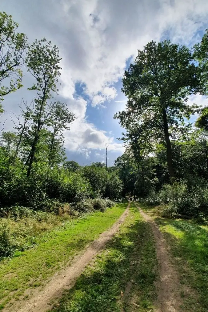 Days out in Hertfordshire - National Trust - Ashridge Estate