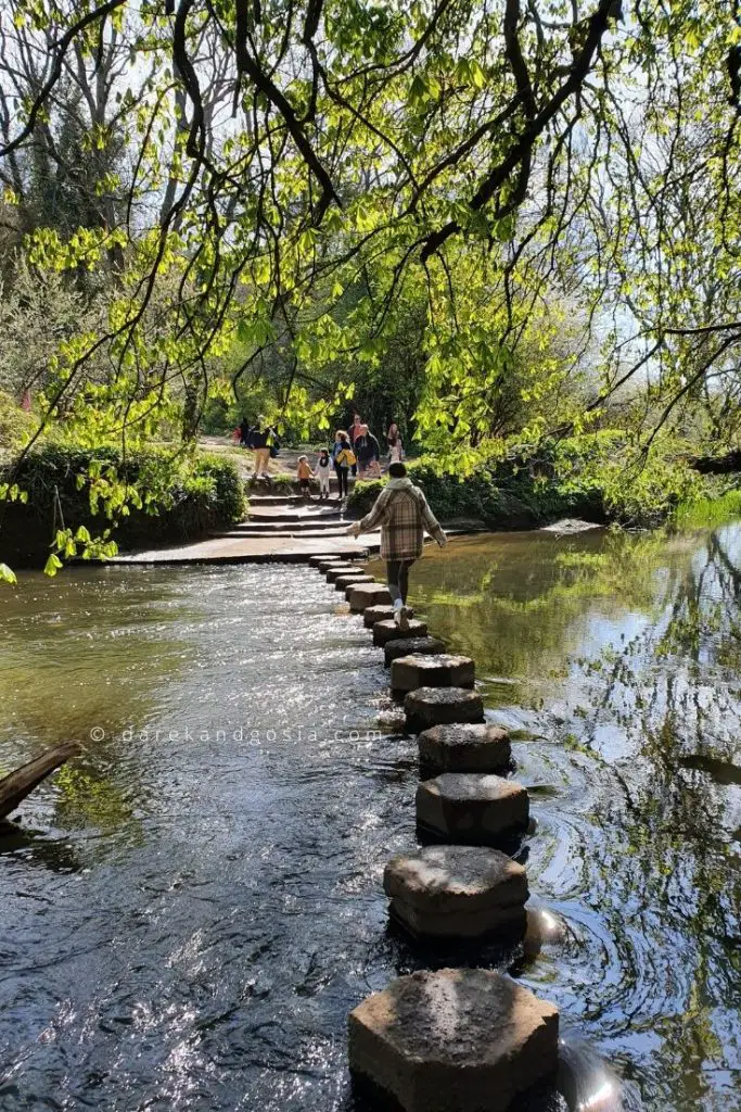 Hiking near me London - Surrey Hills