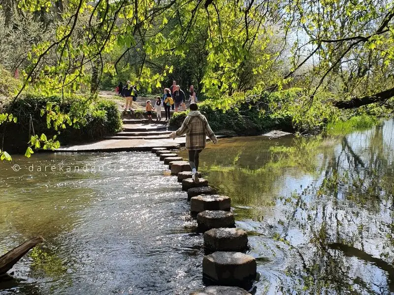 Days out in Surrey - Surrey Hills Area of Outstanding Natural Beauty