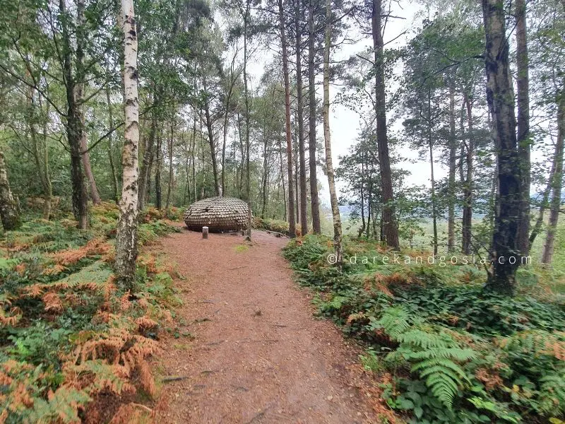 Forest area near me - Winterfold Forest