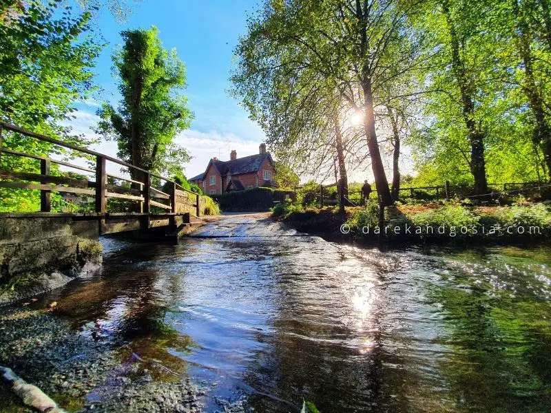 Best things to do in Shere Surrey - River Tillingbourne