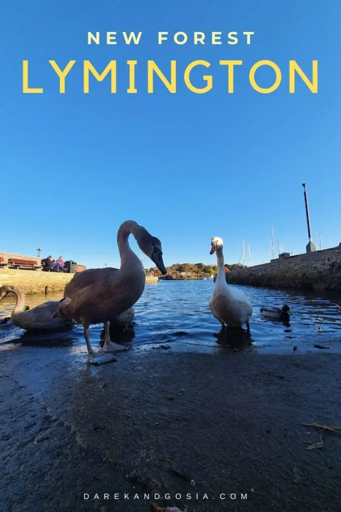 Top things to see in Lymington in Hampshire