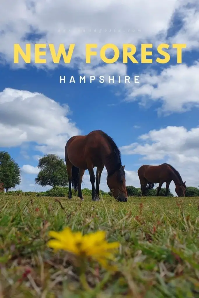 What to do in the New Forest National Park