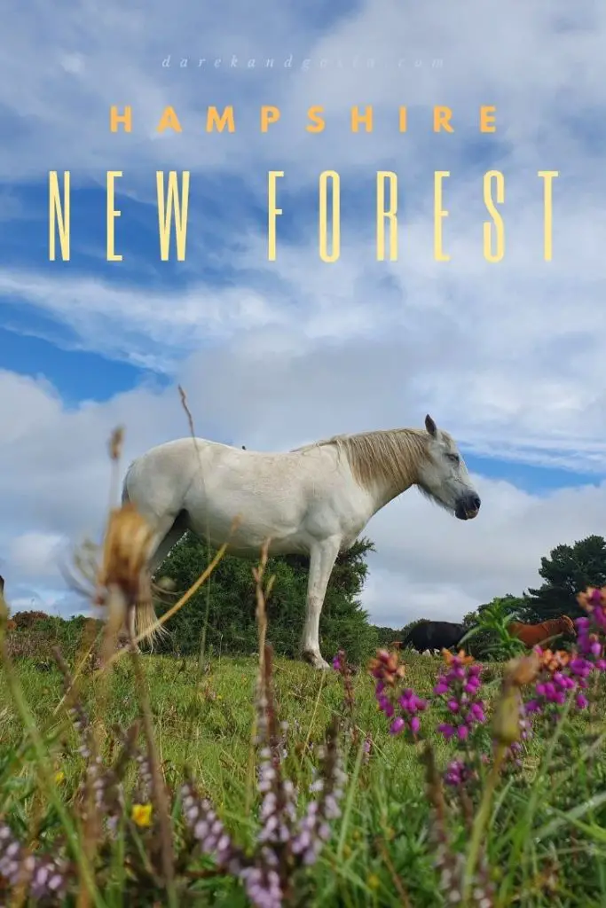 What to do in the New Forest National Park