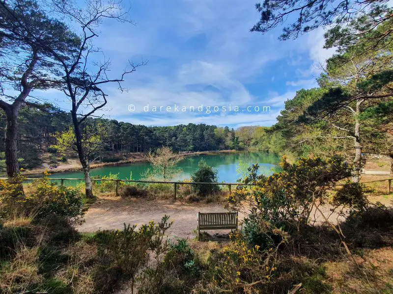 Best things to do on the Jurassic Coast - The Blue Pool