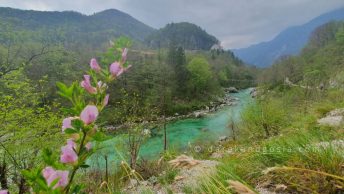 Best things to do in Slovenia