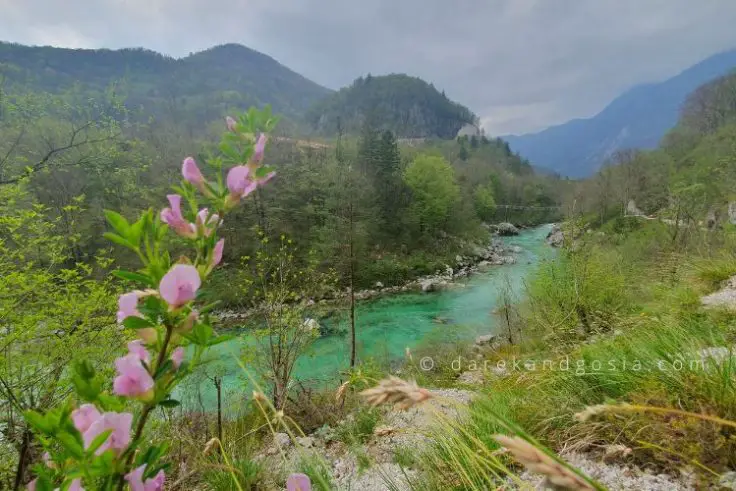 Best things to do in Slovenia