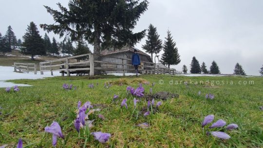 Velika Planina - the most scenic high mountain plateau in Slovenia