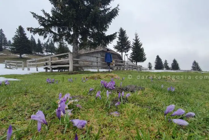 Velika Planina - the most scenic high mountain plateau in Slovenia