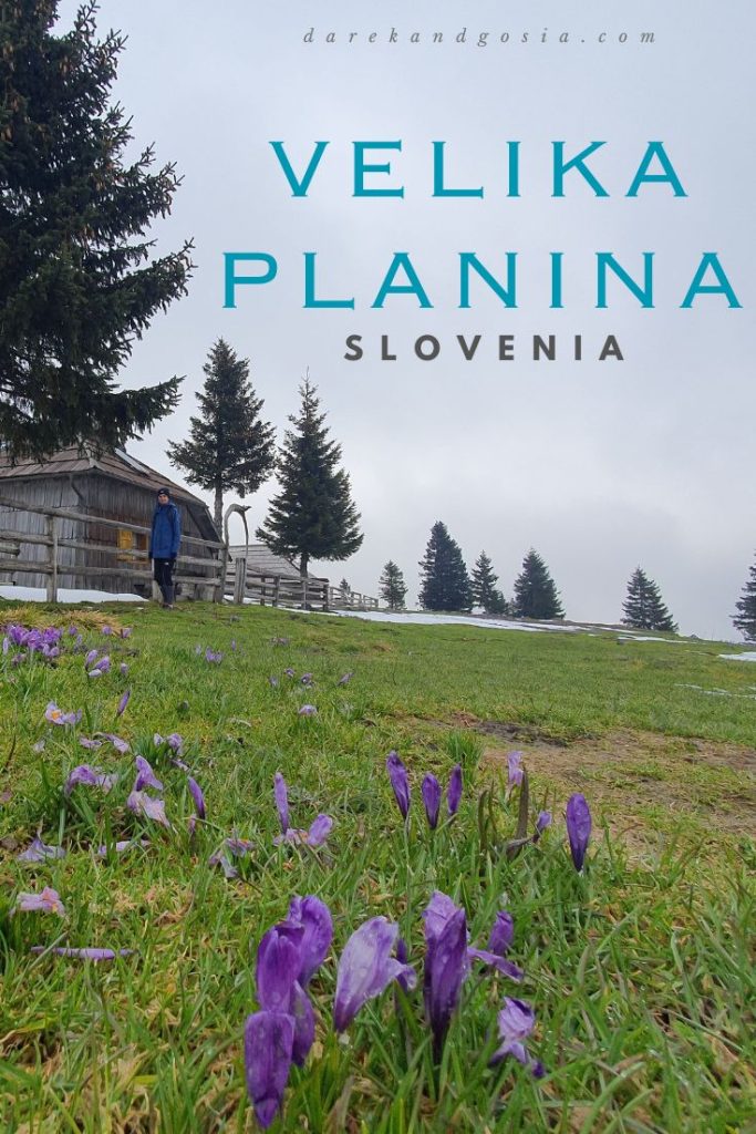 How do you get to Velika Planina