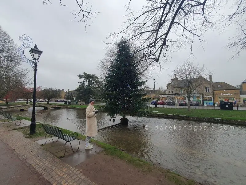 Bourton on the Water Christmas Tree