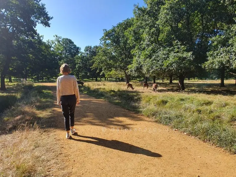 Magic places near me - Richmond Park