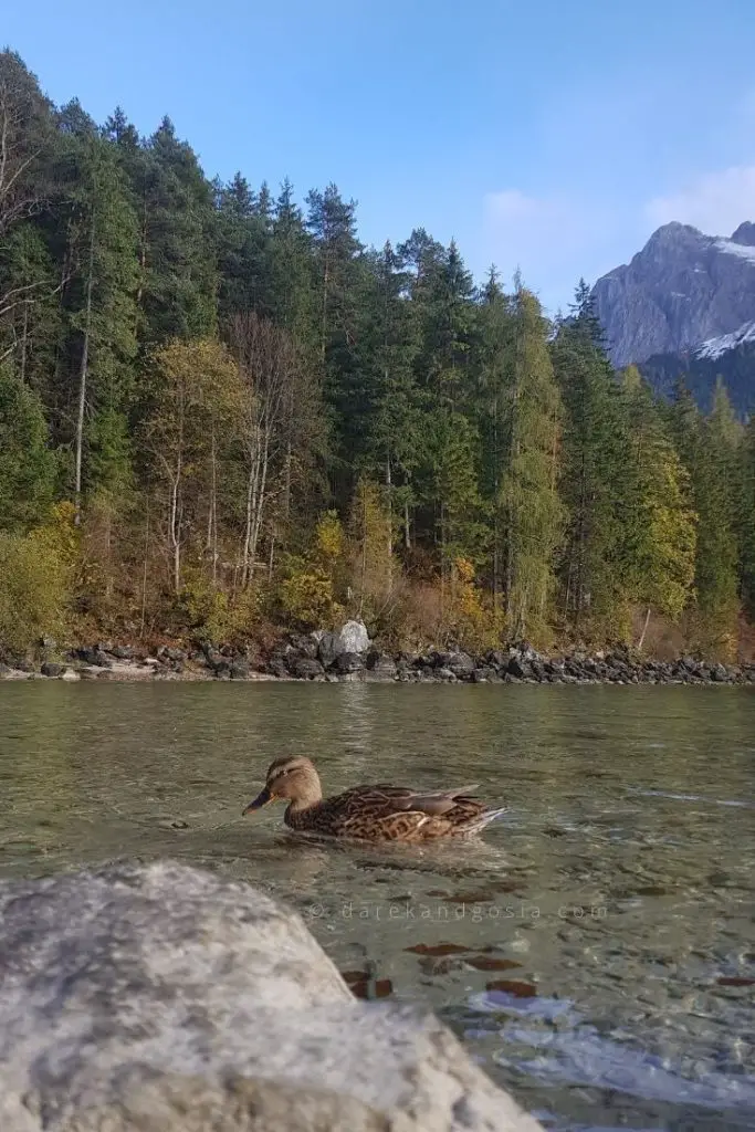 Can You Swim in Eibsee Lake